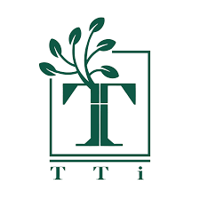 TTI